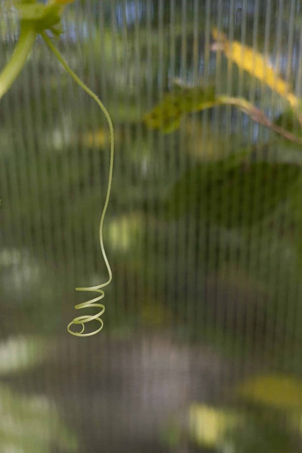 What's the Latest in Adaptive Cruise Control for Safer Driving?